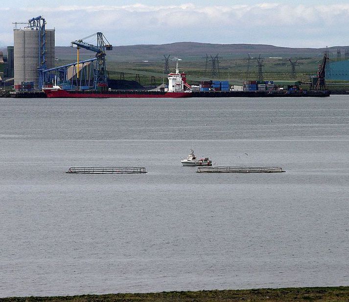 Umhverfisvaktin hélt sinn fyrsta aðalfund fyrir skemmstu.fréttablaðið/gva