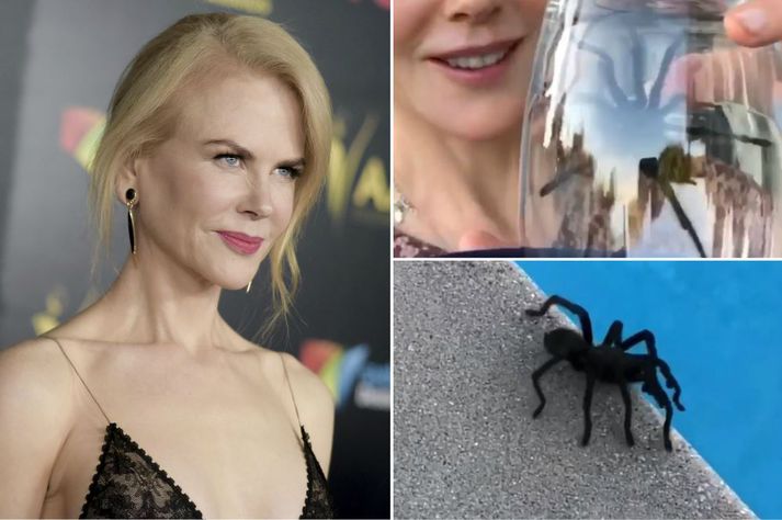 Nicole Kidman kallar ekki allt ömmu sína.