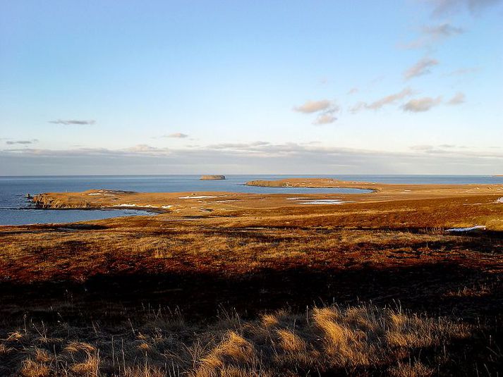 Bakki Thorsil hyggur á gerð kísilmálmverksmiðju á Bakka við Húsavík.