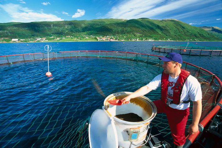 Norðmenn flytja inn mikið magn lax til Rússlands.