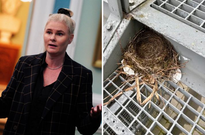 Hildur Sverrisdóttir hafði fylgst vel með hreiðurgerðinni. 