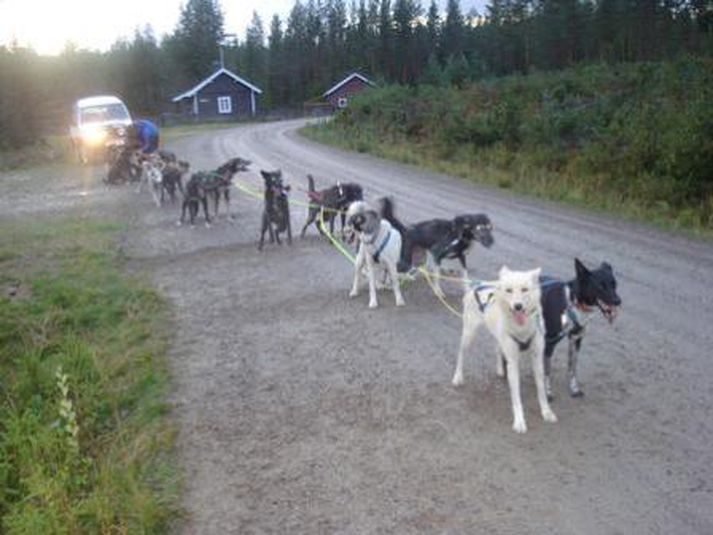 Þorsteinn Sófusson við æfingar.