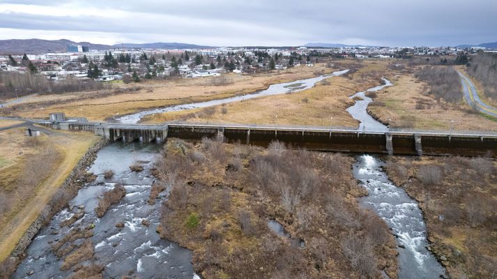 Lögreglan rannsakaði innbrot og stöðvaði unglingapartý í Árbæ. 