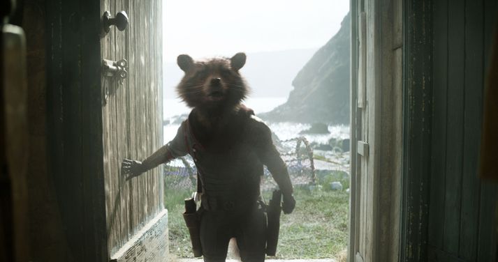 Þvottabjörninn Rocket er meðlimur Varða Vetrarbrautarinnar (e. Guardians of the Galaxy). Hann er meðal annarra hetja í eldlínunni í Avengers: Endgame.