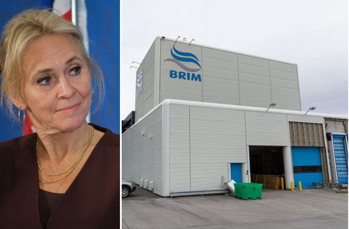 Brim gaf Viðreisn hámarksupphæð sem lögaðilar mega gefa stjórnmálaflokkum í fyrra. Þegar flokkurinn komst í ríkisstjórn fékk hann samþykkt hækkun veiðigjalda.