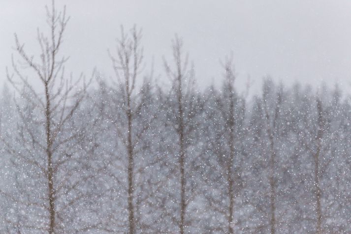 Landsmenn geta ekki alveg sagt skilið við snjóinn. 