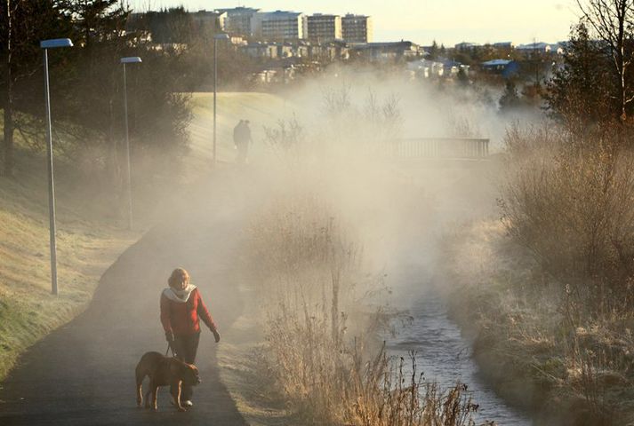 Kópavogslækur á fallegum degi