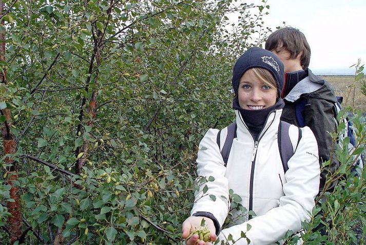 Hákonarlundur í Haukadal og Gunnlaugsskógur við Gunnarsholt spruttu eftir sáningu fræja. Mynd/Hreinn Óskarsson