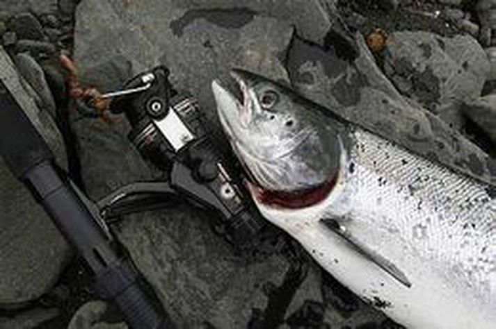 Myndin tengist ekki þessari frétt.