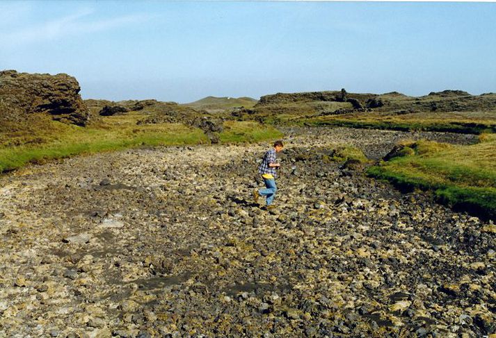 Góð uppeldis- og hrygningarsvæði á þurru í Grenlæk í maí 1998.