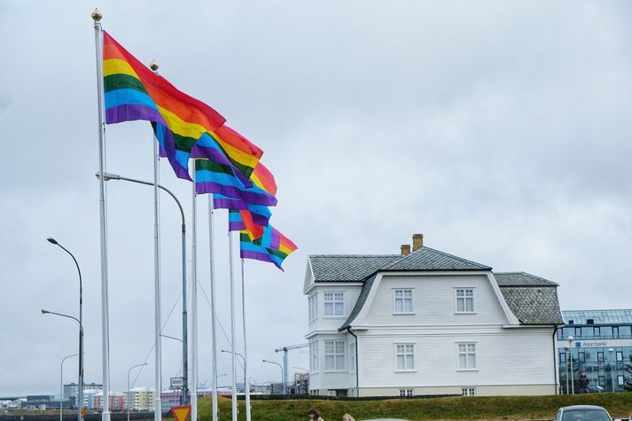 Hér sjást fánarnir sex sem Advania dró að húni í gærmorgun áður en Pence mætti í Höfða.