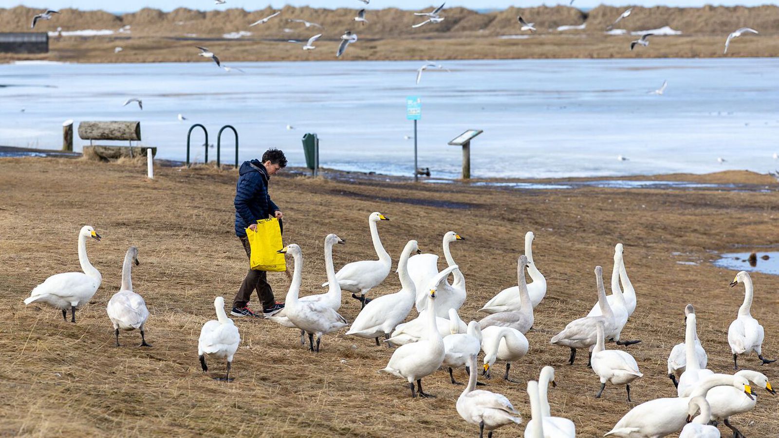 Austan­átt og úrkomulítið
