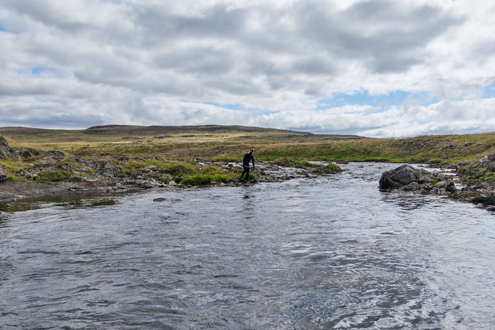 Norskir kafarar leituðu að löxum í Haukadalsá í ágúst. 