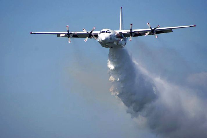 Flugvélinn var af gerðinni C-130 Herkúles.