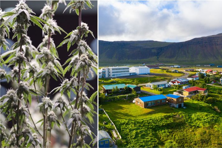 Reykhólahreppur er sveitarfélag á sunnanverðum Vestfjörðum. Myndirnar eru úr safni.