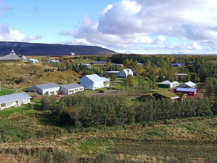 Heimilismenn eiga þess kosta að greiða atkvæði utankjörfundar á Sólheimum í dag líkt og í sveitarstjórnarkosningum fyrir fjórum árum.