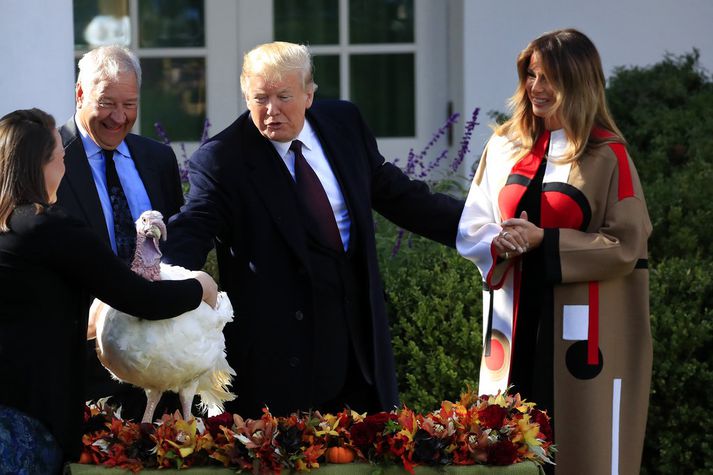 Forsetahjónin Donald Trump og Melania Trump með kalkúninum Peas á lóð Hvíta hússins.