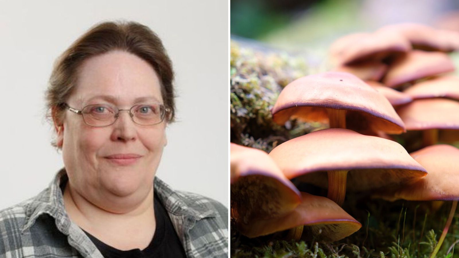Ein mat­skeið og þá er dauðinn vís