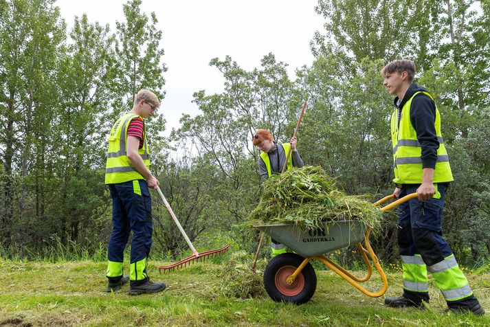 Ungmenni að störfum.