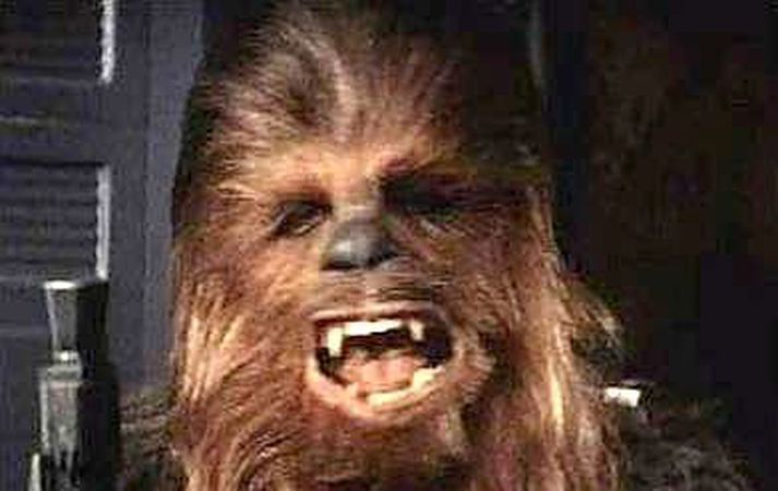 Chewbacca