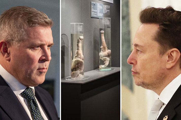 Bjarni Benediktsson ræddi við Elon Musk í Louvre-safninu í kringum Ólympíuleikana í fyrra.