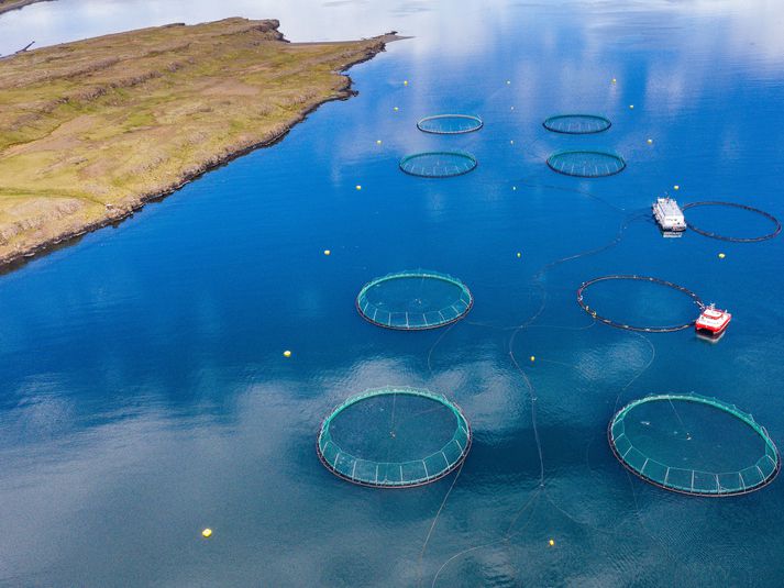 Allar sjókvíar í Berufirði verða tæmdar og fjörðurinn fer í eldishvíld.