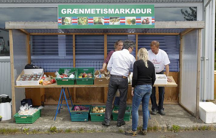 Það var nóg um að vera í grænmetismarkaðnum í Hveragerði þegar ljósmyndara Fréttablaðsins bar að garði. Það fer vel á því að grænmetið sé selt skammt frá Eden enda fer því ekki fjarri að það sé ræktað í kálgarði drottins. fréttablaðið/pjetur