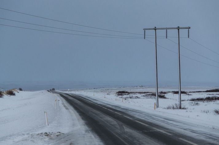 Umráðamaður hvolpanna er óþekktur og liggur enginn undir grun að svo stöddu. 