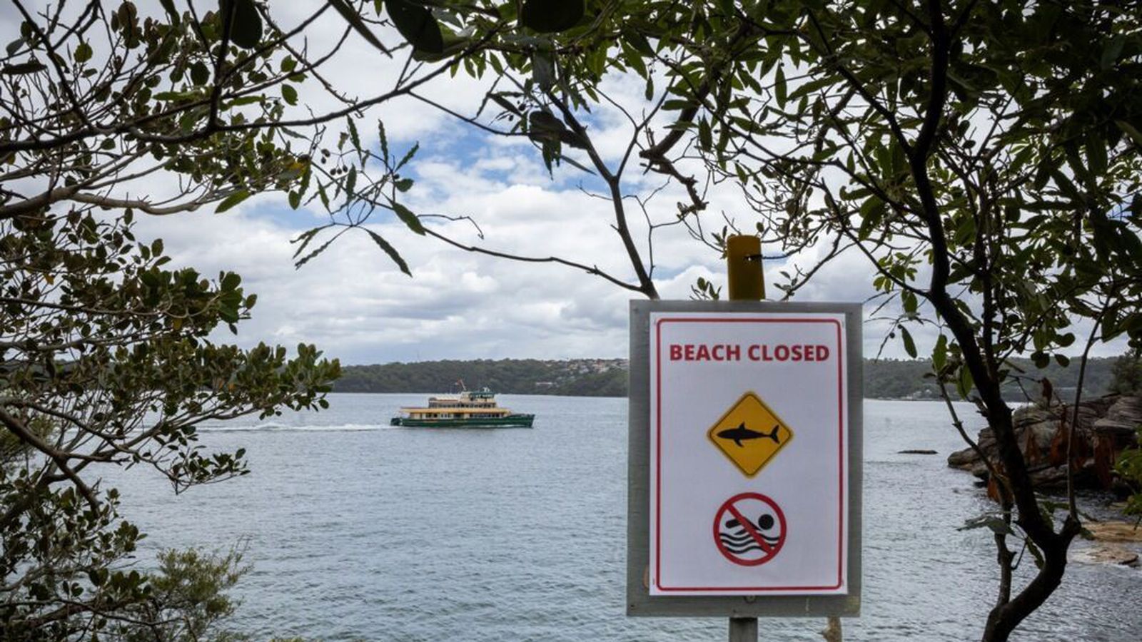 Ungur drengur látinn eftir hákarlaárás