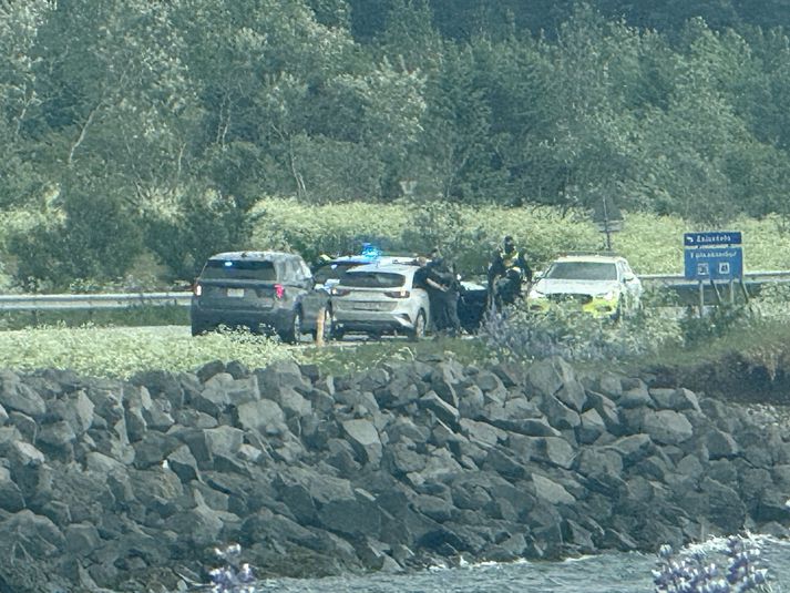 Sérsveitarmeður heldur manni upp að bíl og tekur hann höndum.