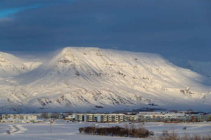 Mestur hluti fíkniefnanna sem lögreglan haldlagði fundust í húsleit í Mosfellsbæ.