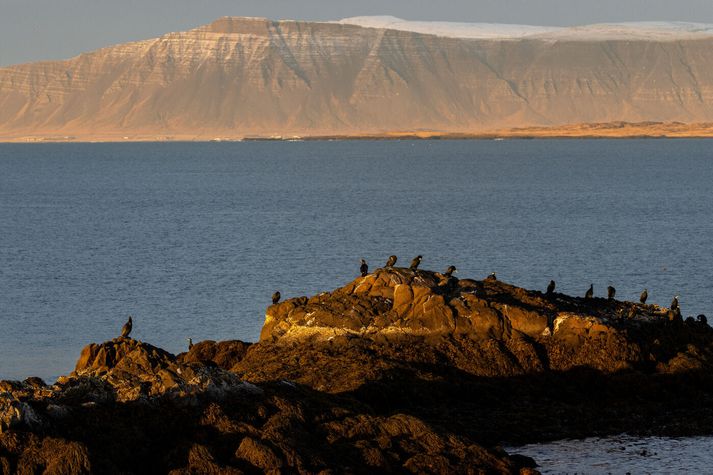 Gera má ráð fyrir að hiti fari upp í sex til ellefu stig.