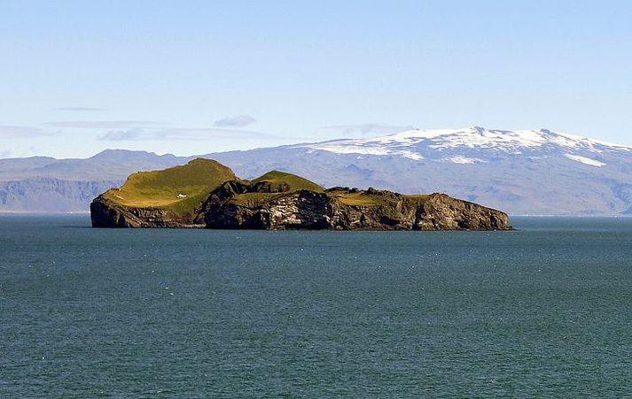 Í Elliðaey eru bjargnytjamenn og búfénaður í forgangi.