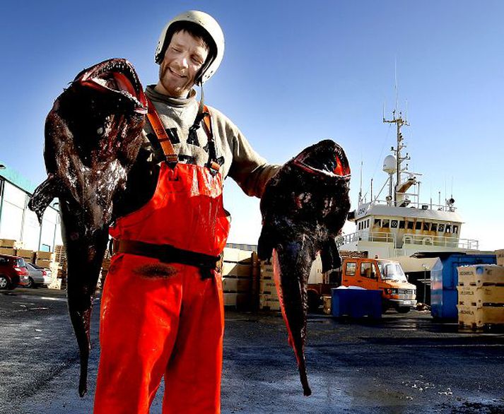 Í stað þess að úthluta viðbótarafla á skötusel til þeirra sem eiga kvóta fyrir mun ríkið selja kílóið á 120 krónur og geta allar útgerðir fengið allt að fimm tonn hverju sinni. Fréttablaðið/GVA