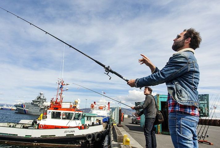 Reykjavíkurhöfn iðar af lífi þessa dagana og fjölbreytt afþreying í boði fyrir nýjungagjarna ferðamenn sem og aðra sem vilja slaka á og njóta fegurðar sólarinnar þegar hún speglast á haffletinum. 