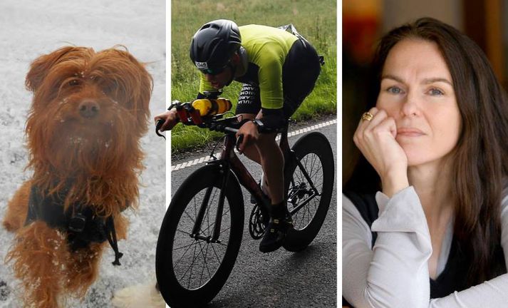 Stórhættulegur og dónalegur hjólreiðamaður hjólaði Móra hennar Guðnýjar niður nú í hádeginu.