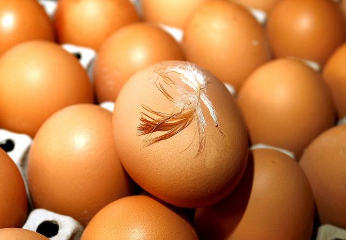 Díoxín mældist í eggjum í Þýskalandi og hefur því verið sett framleiðslubann á þúsund bæjum. Fréttablaðið/gva