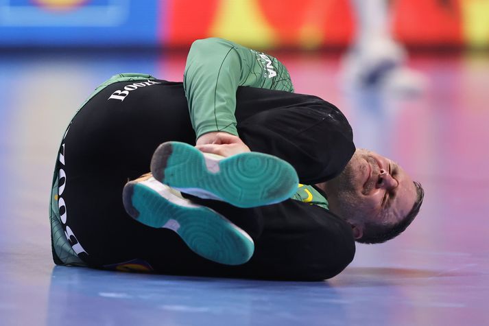 Andreas Palicka er frábær markvörður en hann endaði á sjúkrahúsi rúmri viku fyrir Evrópumótið.