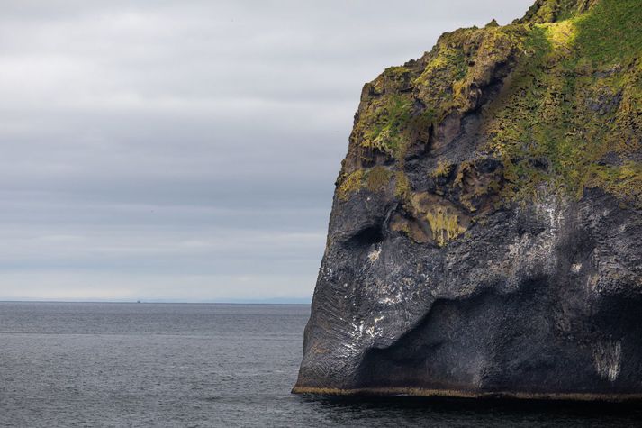 Olíublautir fuglar fundust meðal annars í Vestmannaeyjum á milli 2020 og 2022.