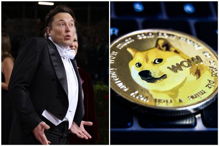 Elon Musk er sakaður um að hafa staðið fyrir pýramídasvindli til að hagnast á rafmyntinni Dogecoin.