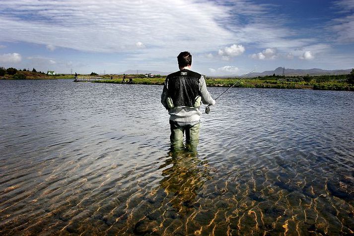 Við Elliðavatn. Nýrnasýki greindist fyrst árið 2008 í bleikju í Elliðavatni, en var þangað til óþekkt hérlendis. 