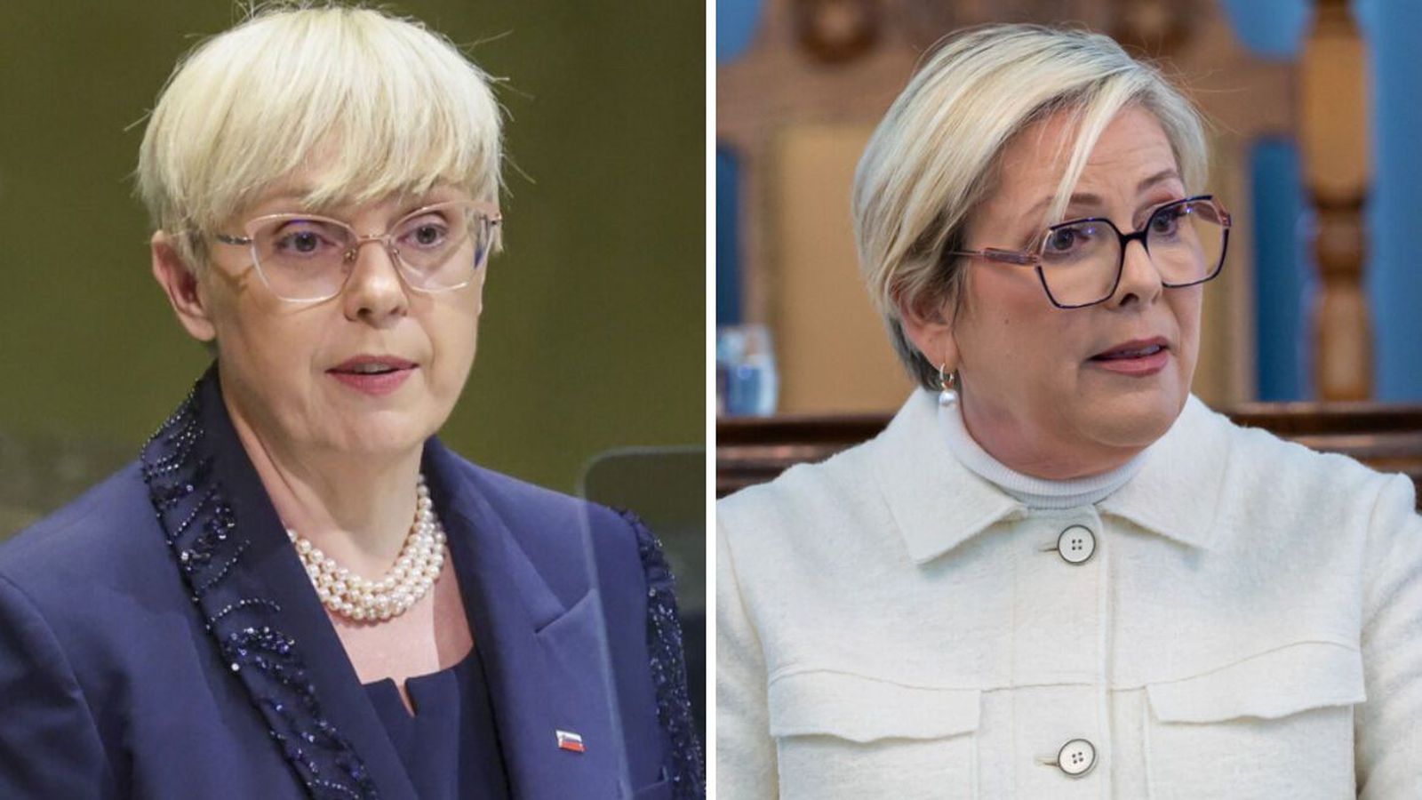 For­setar Ís­lands og Slóveníu ræða leiðtogahlutverk í breyttum heimi