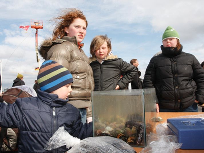 Frá Hátíð hafsins fyrir ári síðan.