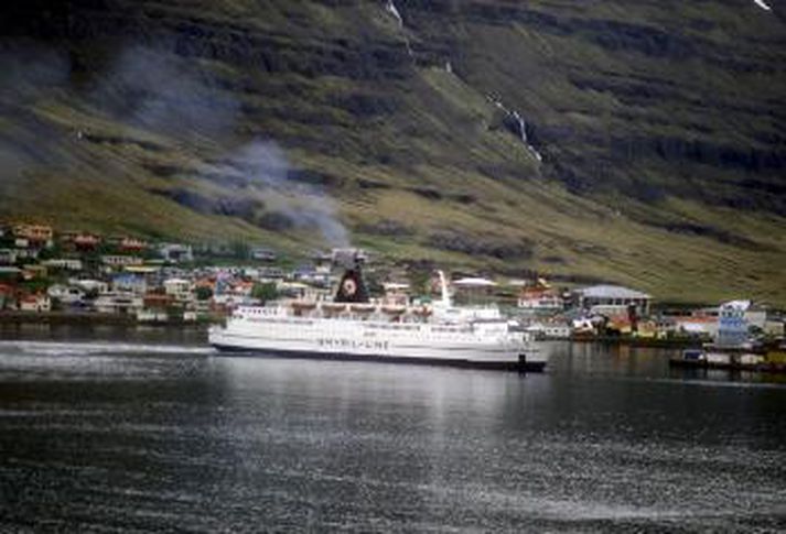 Við komuna framvísaði parið fölsuðum ítölskum persónuskilríkjum.