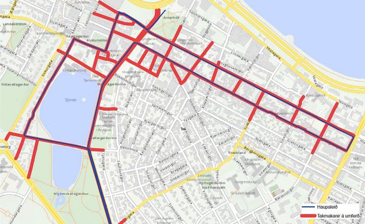 Þetta er í hundraðasta skipti sem Víðavangshlaup ÍR er haldið.