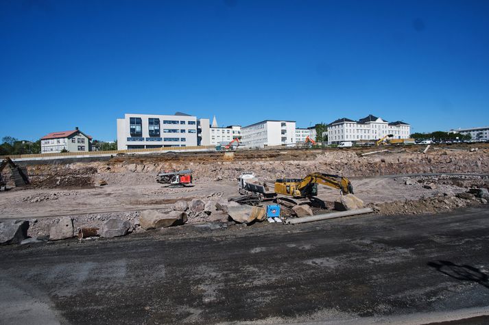 Stjórn Læknafélags Íslands vill bíða með innflutning á fersku kjöti þangað til að nýr meðferðarkjarni Landspítala er tilbúinn. Það húsnæði er enn í smíðum. 