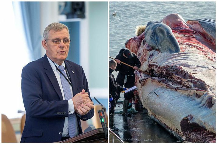 Jón Gunnarsson segir að Bjarkey hefði mátt átta sig fyrr á því að henni beri að fylgja lögum í landinu