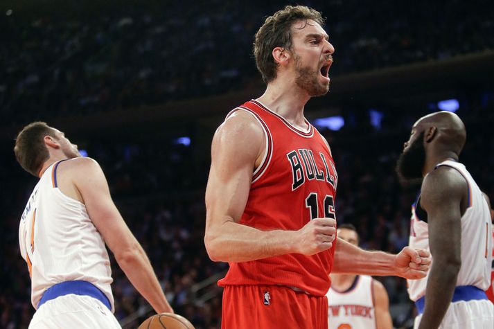 Pau Gasol.