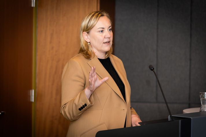 Þorbjörg S. Gunnlaugsdóttir, dómsmálaráðherra kynnti landsáætlunina á fundi í morgun.