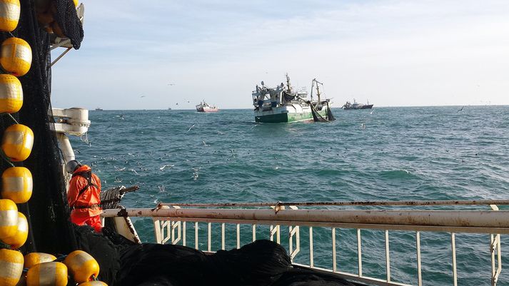 Í Breiðafirði. Hálfur mánuður er liðinn frá því að fréttist af einhverri veiði að ráði.